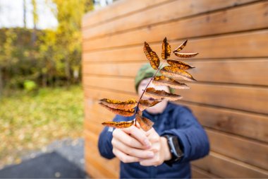 Barn Med Behov For Særskilt Tilrettelegging | MedLearn